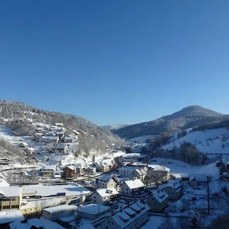 Modernly Furnished Tatil Evi Bad Peterstal-Griesbach