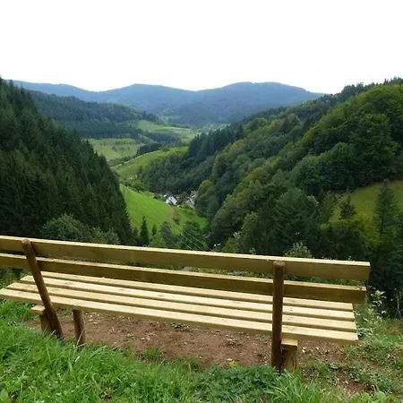 Modernly Furnished * Bad Peterstal-Griesbach